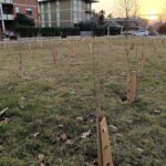 via monte rombon gennaio 2026