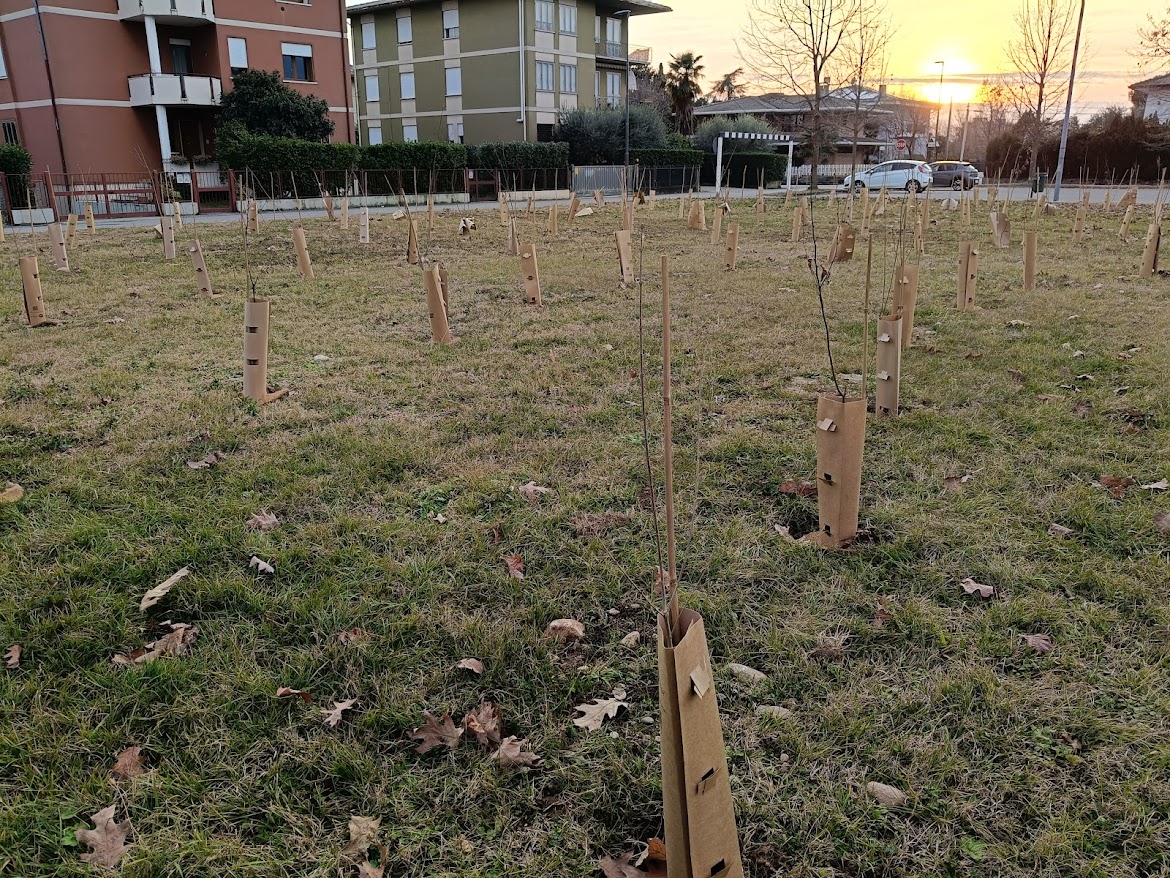 via monte rombon gennaio 2026