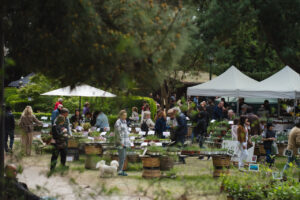 Il Giardino delle meraviglie