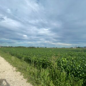 La Colceresa dei conti