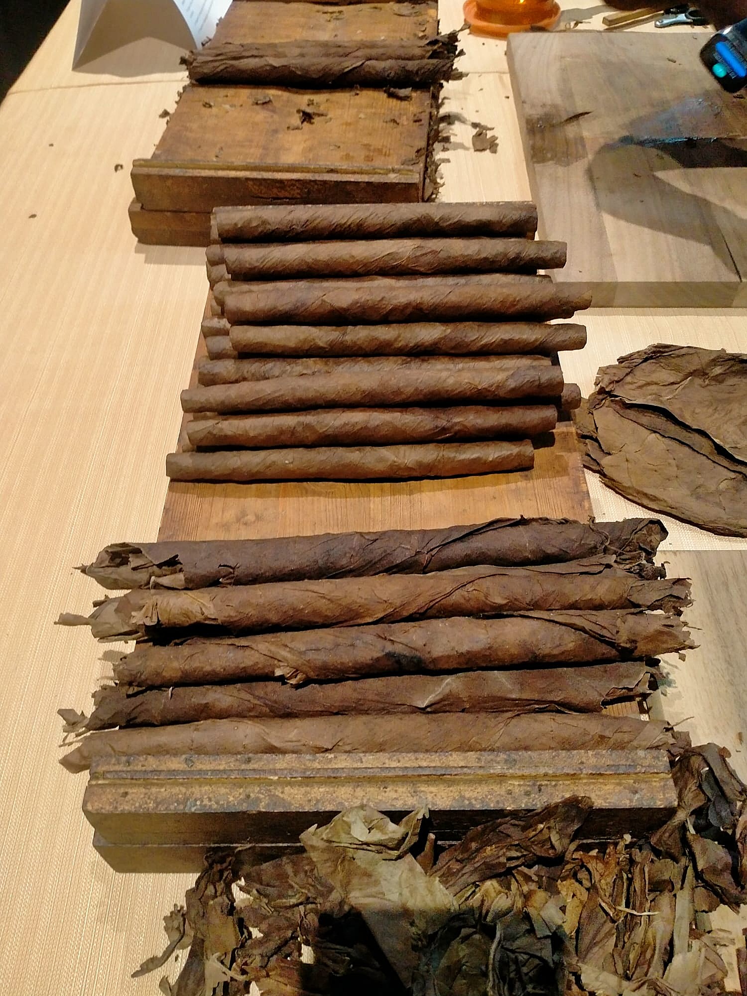 cigar 7