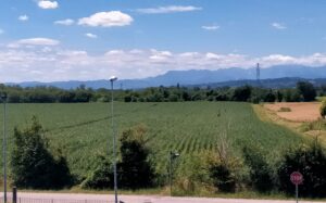 Campo largo