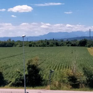 Campo largo