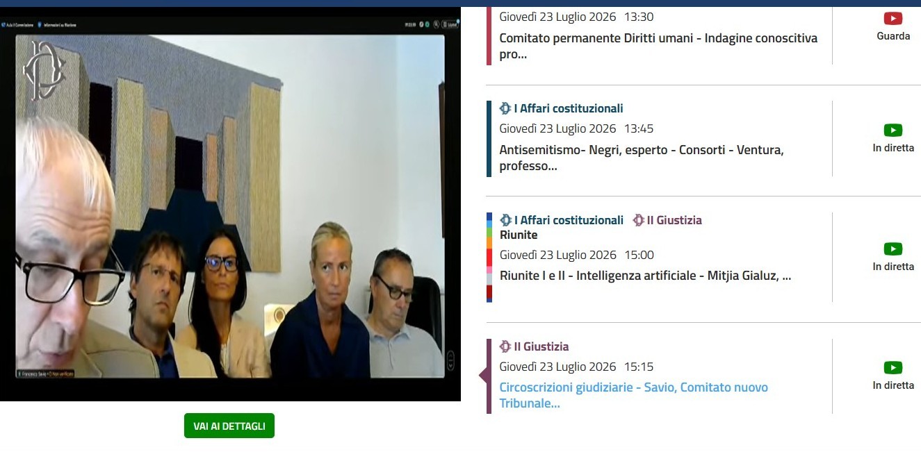 L’avv. Francesco Savio in audizione (fermo-immagine dalla diretta streaming su camera.it)