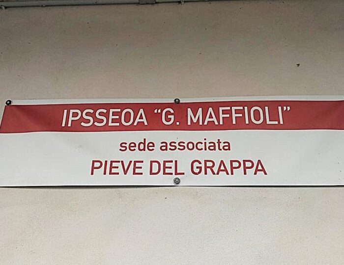 magzin