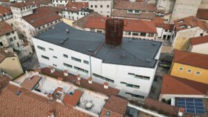 Debole di Costituzione