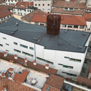 Debole di Costituzione