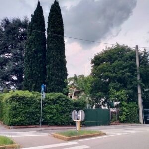 Dacci un Consiglio