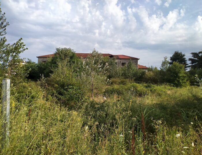 magzin